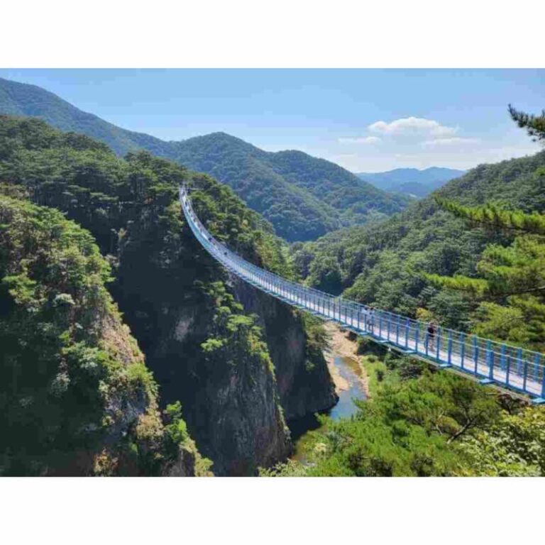 expand_소금산출렁다리_v1